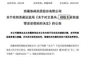 胡哈东?胡啥东?胡眕东?上市公司公告,连错三次!上交所发布警示→