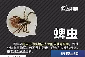 紧急提醒!攻击性很强!严重或致死!已入侵12省份!曾逼近秦岭