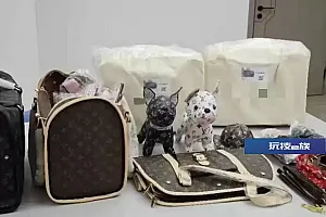 正品上万元网购只需两三百元?一制售假冒LV宠物用品团伙被抓