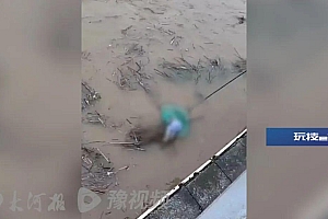 揪心!大儿摔倒母亲去扶,次子乘婴儿车滑入水中?被抄网捞起的落水男童最新情况