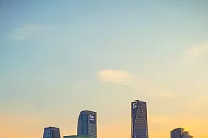杭州“麦田CBD”打卡火爆,管委会:目前小麦已收割