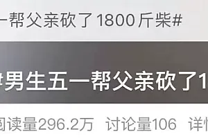 凌晨坐绿皮火车回家,帮父亲砍1800斤柴!大学生回应……