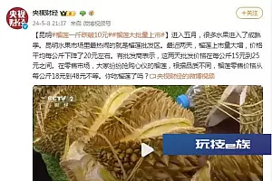 榴莲一斤跌破10元!昆明榴莲大批量上市