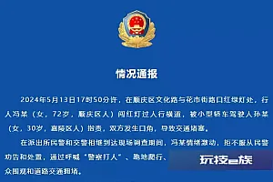 南充警方通报“一行人跪地爬行、抓扯交警”:已依法作出行政处罚