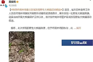 陕西终南林场最北区域发现野生大熊猫活动痕迹