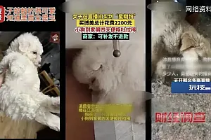 直播间买的宠物到家7天就死亡,体检、疫苗接种全是假的!江苏沛县回应