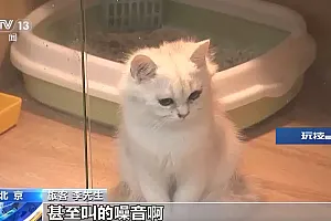 宠物也能乘高铁了?支持or反对 看看大家啥态度