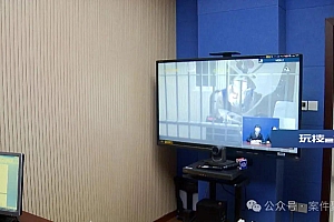 “只要有她在,不用担心钱”,农村姑娘假扮华裔富二代10年诈骗近百万