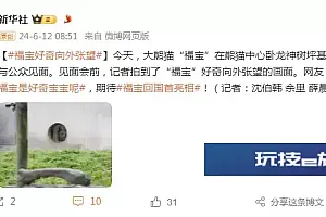 大熊猫“福宝”好奇向外张望,网友:我们“福宝”是好奇宝宝