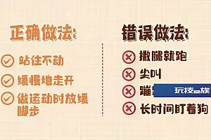 恶狗小区内咬伤6人,包括4名儿童!路遇恶狗袭击怎么办?