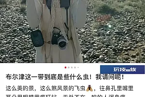 密密麻麻!“疯狂往鼻孔嘴里钻……”知名景区紧急提醒