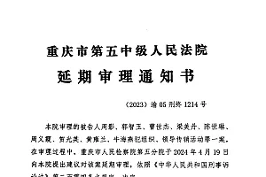 重庆“一专精特新企业被指涉传销”续:专家辅助人出庭称鉴定结论错误