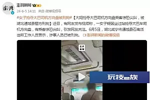 大妈抢夺大巴司机方向盘,被湖北通城县警方刑拘