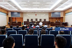 跨市偷倒2.3万余吨“毛垃圾”,2人获刑!