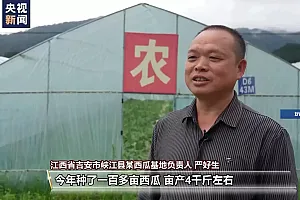 吃不过来了!这些时令水果陆续甜蜜上市