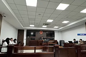 梁静茹演唱会“柱子票”案一审宣判:主办方阶梯式退还票款,最高达原价七成