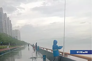 钱塘江滨江段已过警戒水位,还有人“拿命换鱼”?