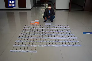 147尾“娃娃鱼”!甘肃森林公安破获非法捕售“娃娃鱼”案