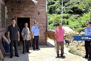 是不是听错了?给牛做亲子鉴定……