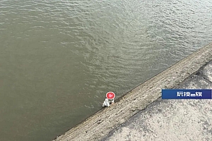 事发钱塘江边!年轻女子紧扒江堤:“救命!”