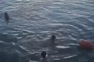 终于找到了!凌晨东湖边,她不顾白裙子跪下……