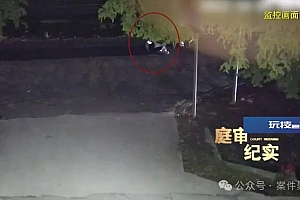 事发上海街头!女子醉卧马路被碾轧身亡,送她回家的朋友被索赔75万……