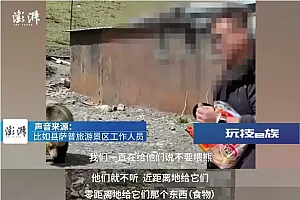 “藏马熊疑似突然袭击游客”?景区回应