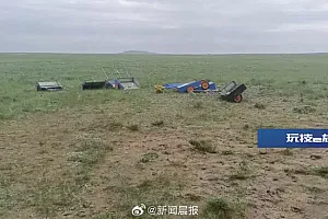 24人采摘沙葱韭菜花被查?林草局回应