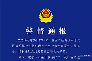 辽宁营口警方通报“购物广场内发生刑案”:犯罪嫌疑人已被刑拘,被害人没有生命危险