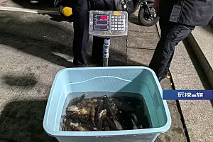 潜入千岛湖底偷偷……这个神秘团伙栽了!