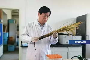 药物为何“失效”?中国科学家追查到了源头