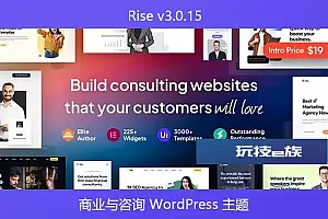 Rise v3.0.15 – 商业与咨询 WordPress 主题