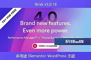 Brisk v5.0.16 – 多用途 Elementor WordPress 主题
