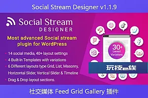 Social Stream Designer v1.1.9 – Instagram Facebook Twitter Feed – 社交媒体 Feed Grid Gallery 插件