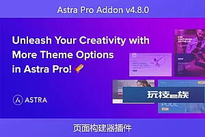 Astra Pro Addon v4.8.0 – 页面构建器插件