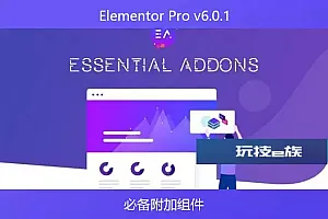 Elementor Pro v6.0.1 – 必备附加组件