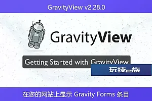 GravityView v2.28.0 – 在您的网站上显示 Gravity Forms 条目