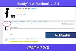BuddyPress Facebook v1.3.5 – 点赞用户活动流
