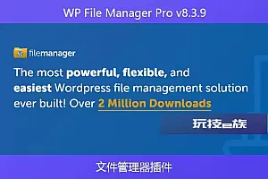 WP File Manager Pro v8.3.9- 文件管理器插件