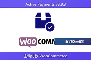 Active Payments v3.9.3- 主动付款 WooCommerce