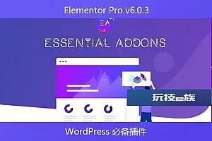 Elementor Pro v6.0.3 – 必备插件