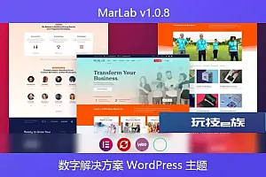 MarLab v1.0.8 – 数字解决方案 WordPress 主题