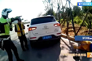 又是它!昆明一男子一年内7次被咬伤……