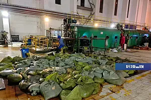 抓不完!根本抓不完!一地遭“海蜇泛滥”,24小时不停地抓……