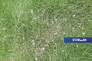 密密麻麻,多地已出现!杭州疾控紧急提醒