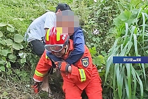 湖南一男子被800斤疯牛一路撞下山,民警出手了……