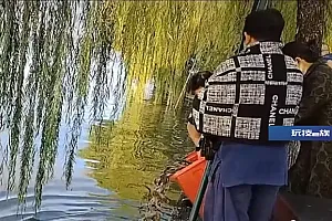 杭州西湖有人放生泥鳅?官方:不允许放生,已介入处理
