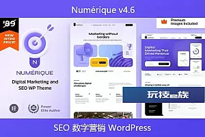 Numérique v4.6 – SEO 数字营销 WordPress
