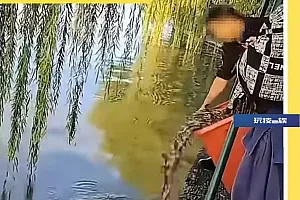 杭州西湖有人放生泥鳅?官方:放生不可取,已做相应措施