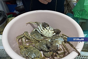 价格回落至腰斩,但大闸蟹自由还要再等等